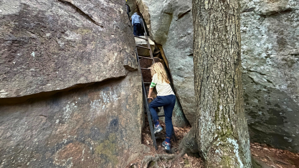 Endless Wall in New River Gorge with kids