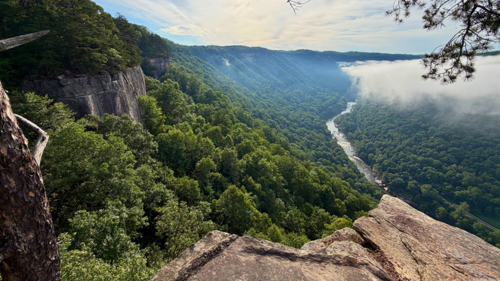 New River Gorge with kids