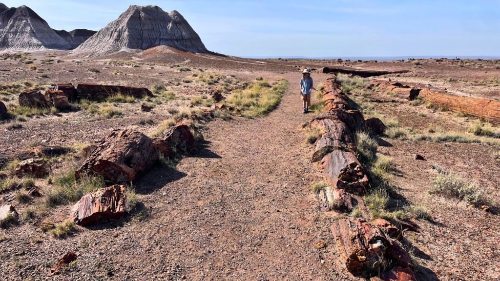 Long Logs Trail