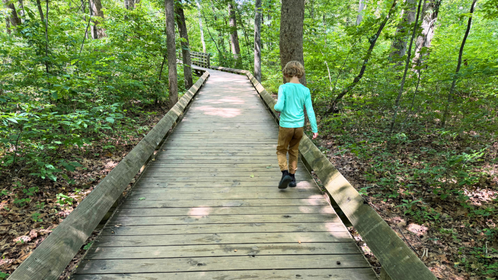 Sandstone Falls Boardwalk