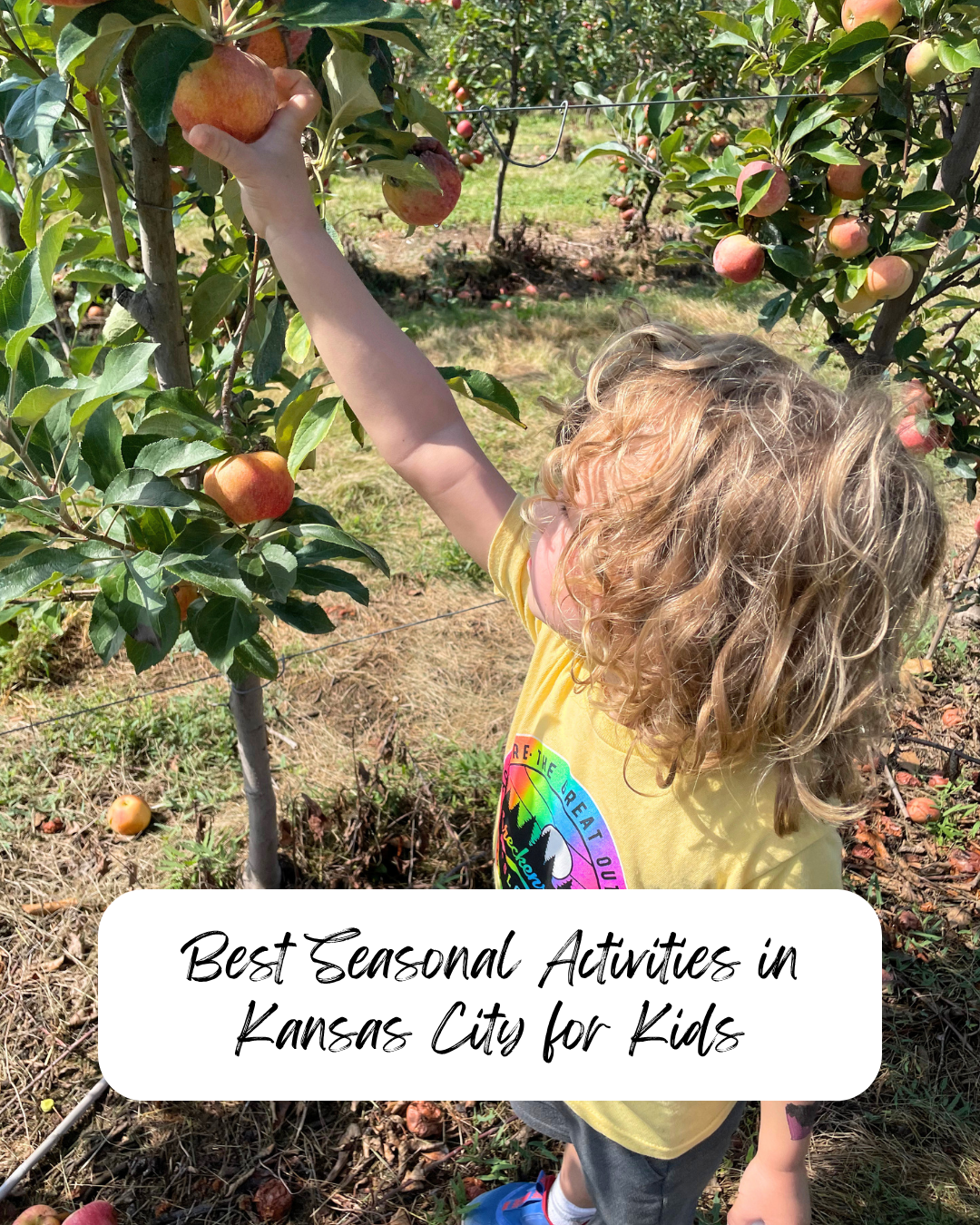 Family fun in KC for every season