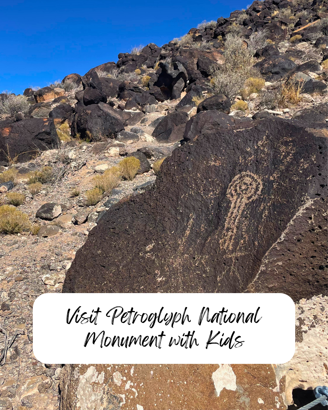Best Things to Do in Petroglyph with Kids