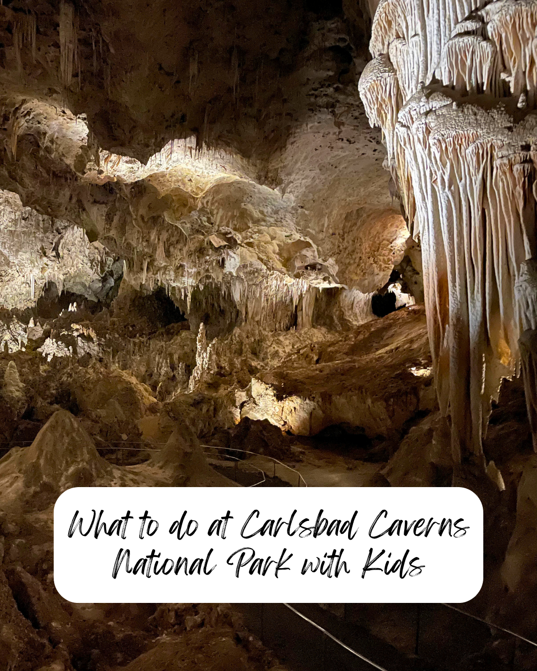 Best Things to do at Carlsbad Caverns with Kids