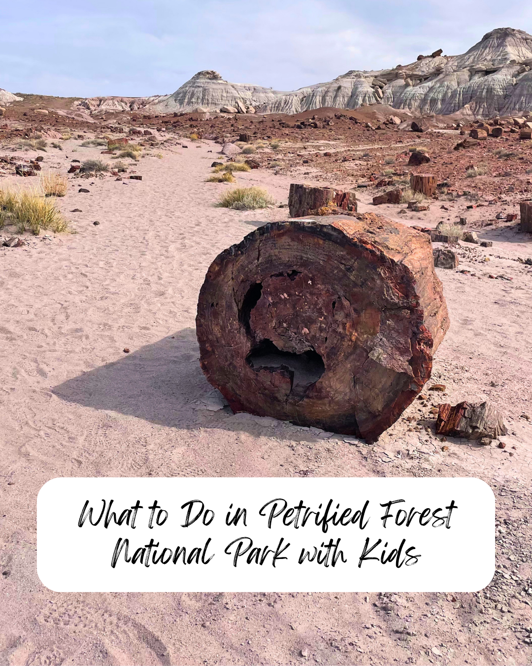 Best Things to Do in Petrified Forest with Kids