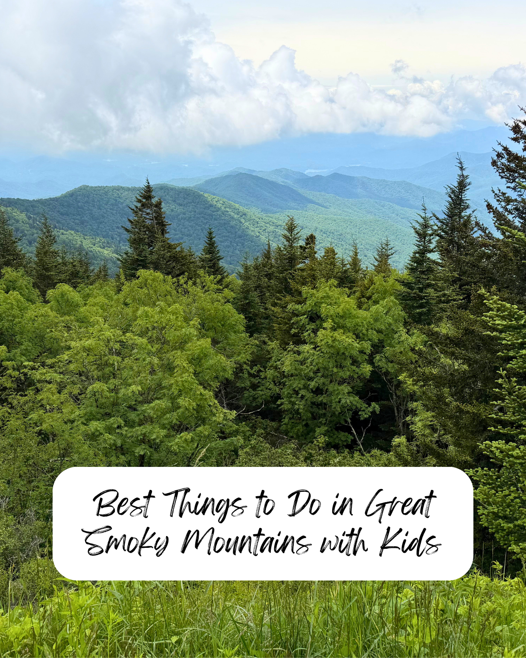 Best Things to Do in Great Smoky Mountains with Kids