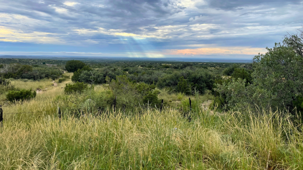 Texas sky
