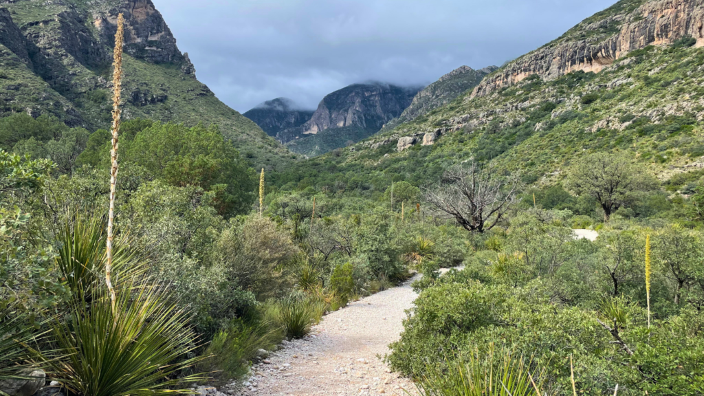 McKittrick Canyon Trail