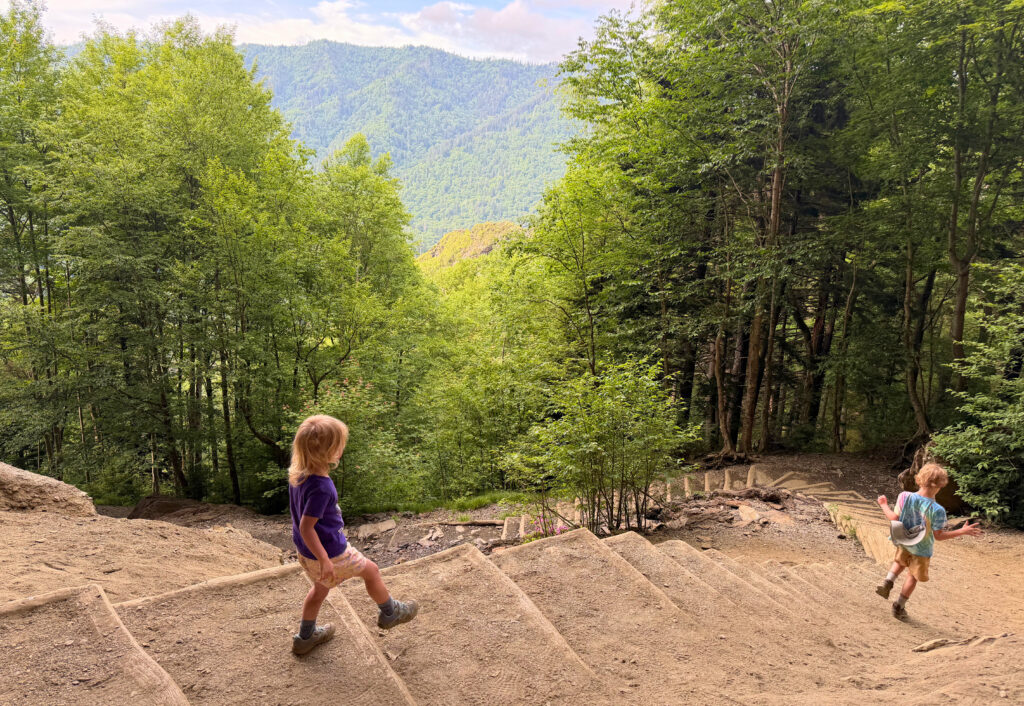 Great Smoky Mountains Alum Cave Bluffs trail