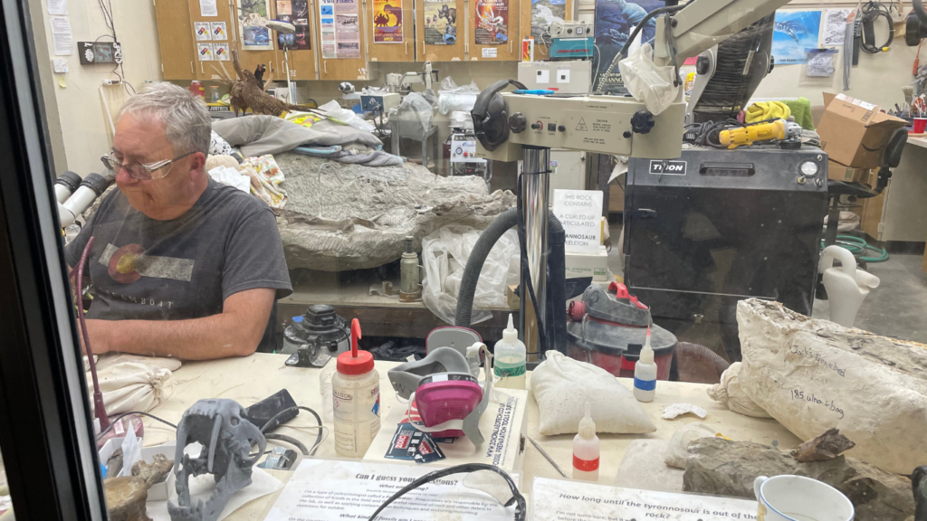 Badlands Dinosaur Museum paleontologist
