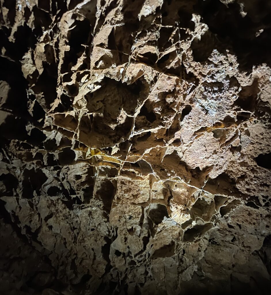 Wind Cave box work