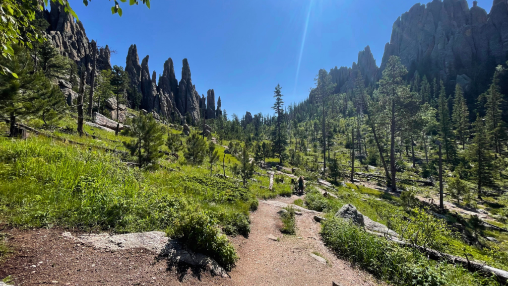 Cathedral Spires in Custer State Park with kids