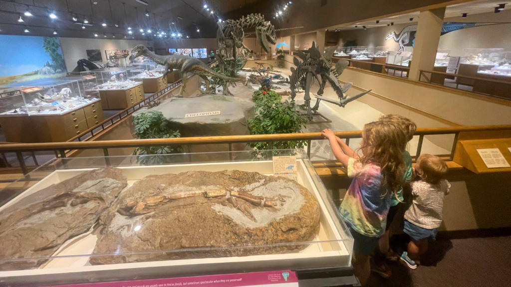 Badlands Dinosaur Museum