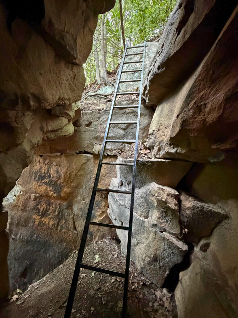 Endless Wall ladders