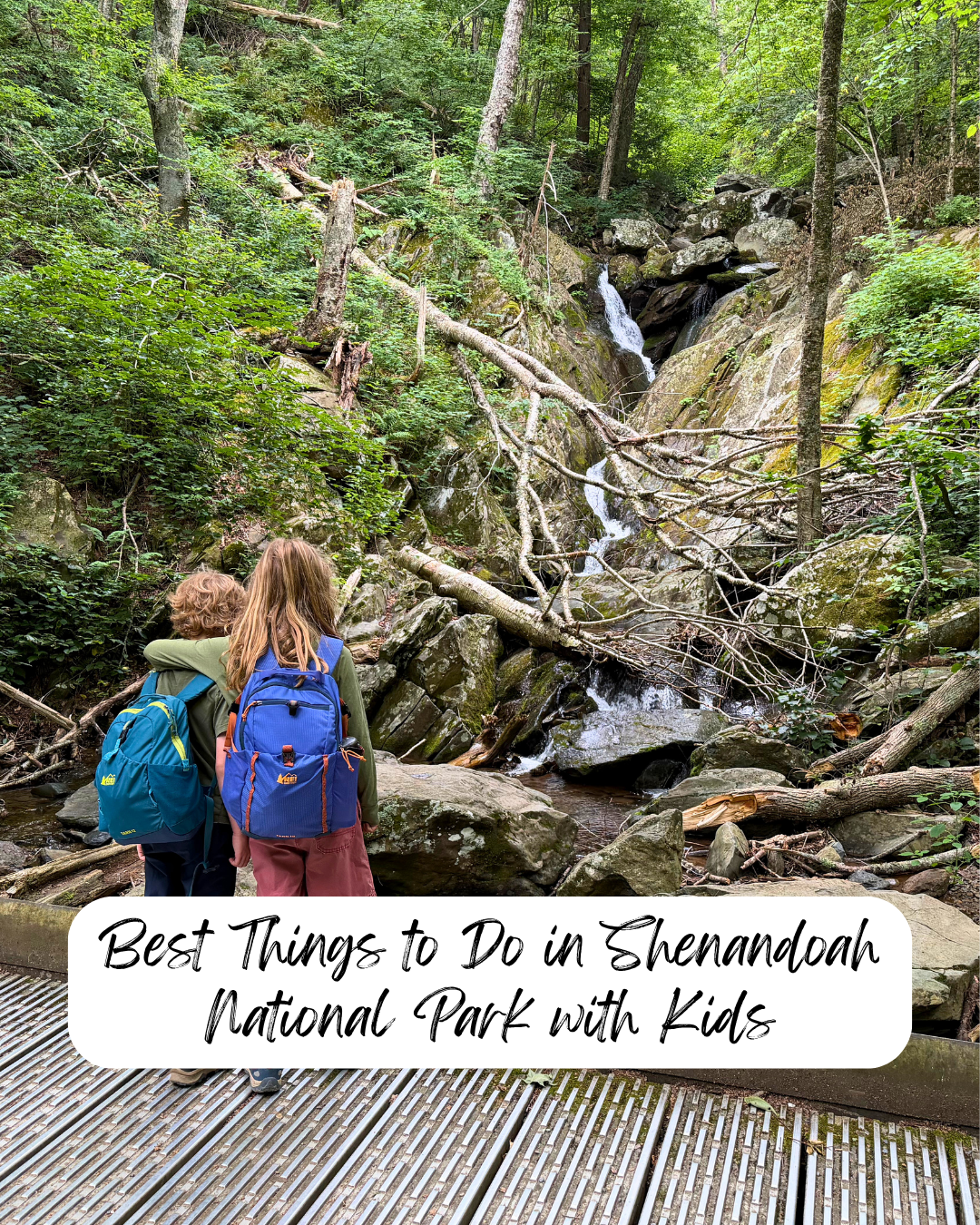 Best Things to Do in Shenandoah with kids