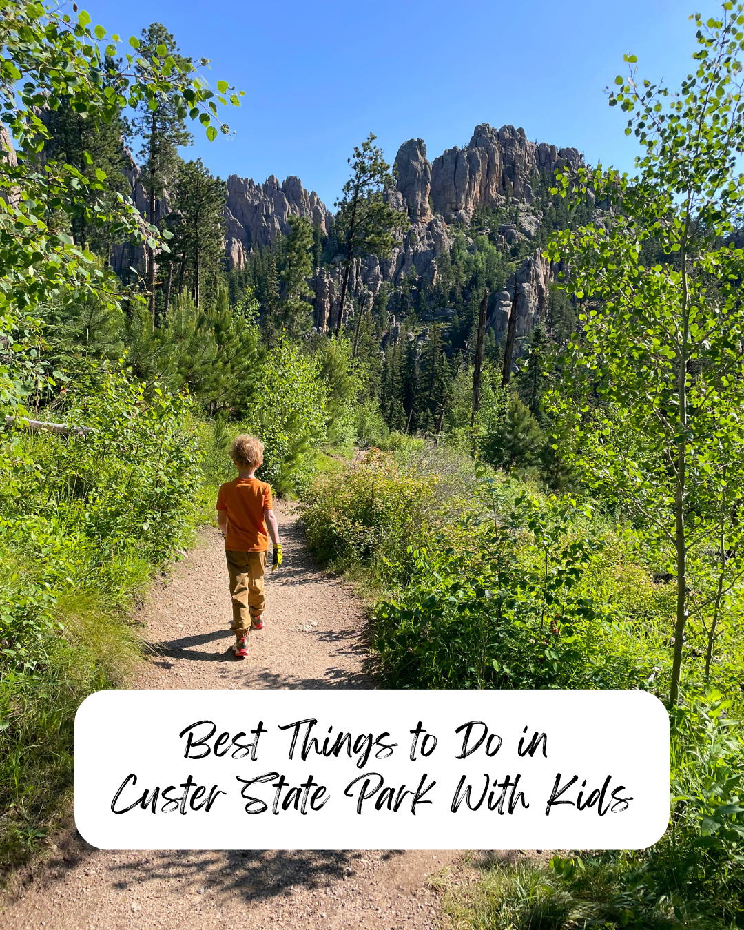 Best Things to Do in Custer State Park with Kids