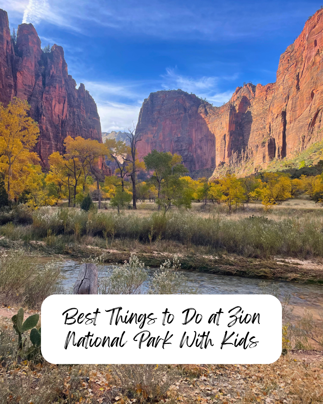 Best Things to Do in Zion National Park with Kids