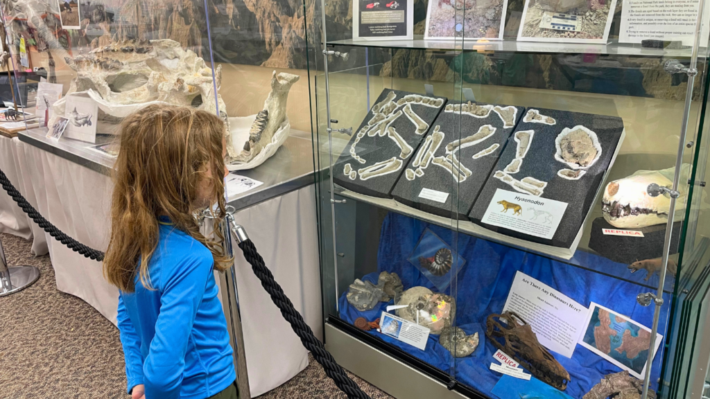 Fossil Preparation Lab in Badlands National Park
