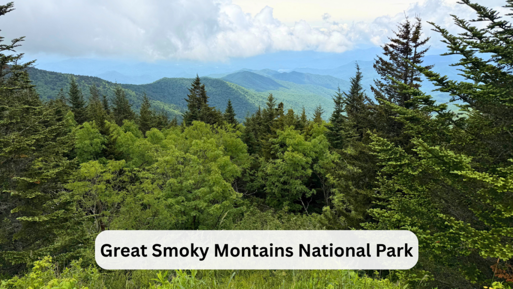 Smokies with kids