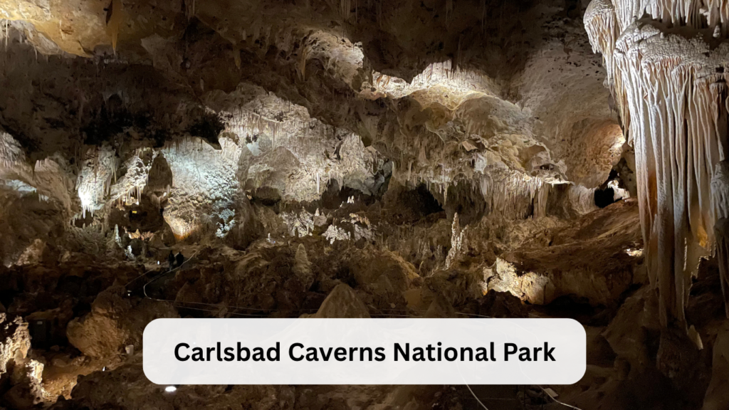 Carlsbad Caverns with kids