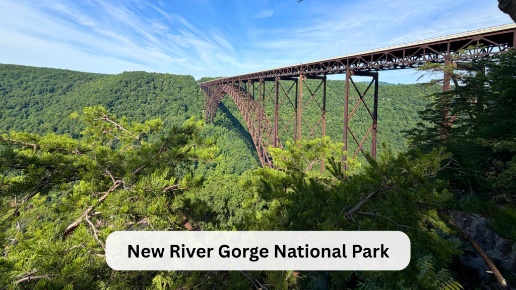 New River Gorge with kids