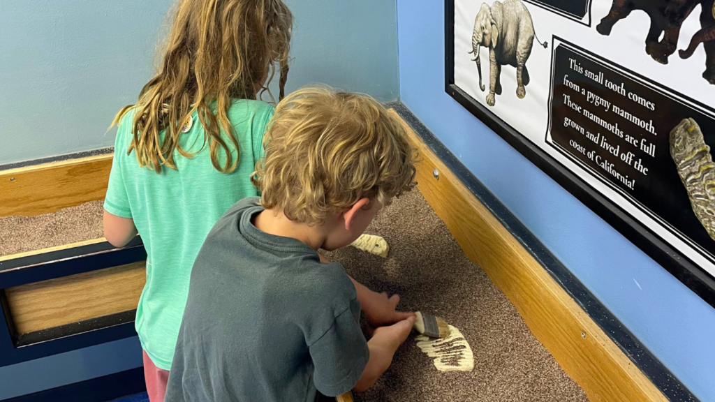 Mammoth Site kids area