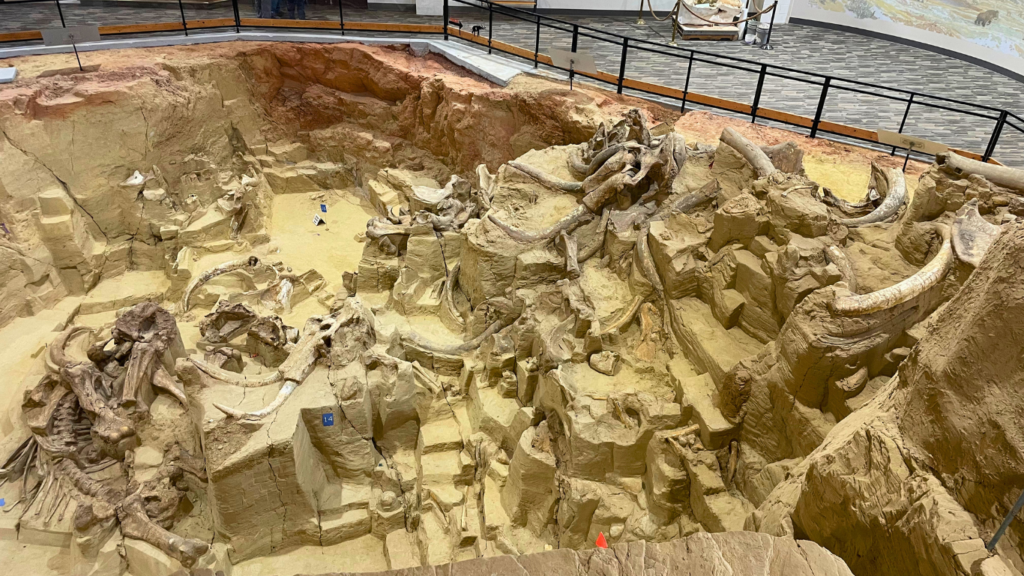 Mammoth Site with kids