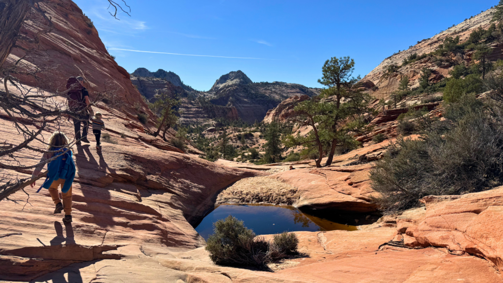 Many Pools in Zion