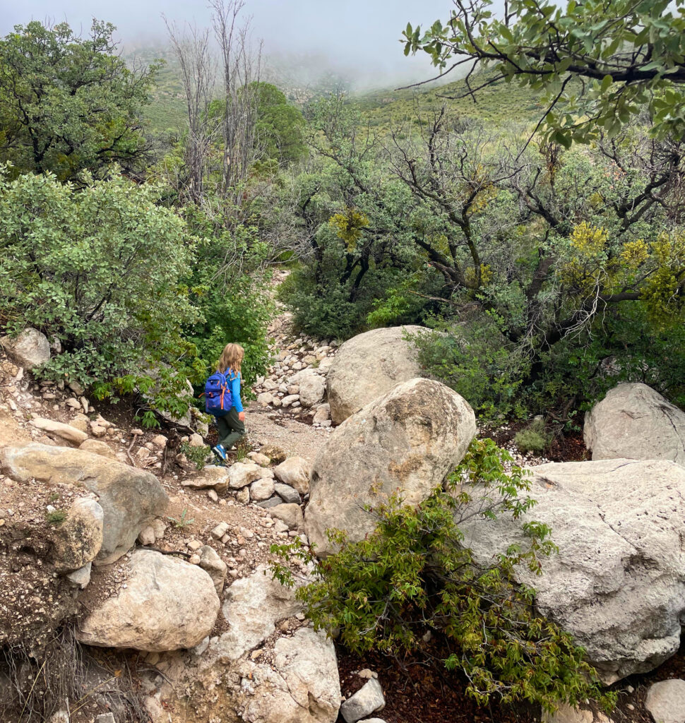 Smith Spring Loop