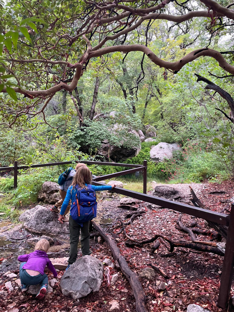 Smith Spring in Guadalupe Mountains