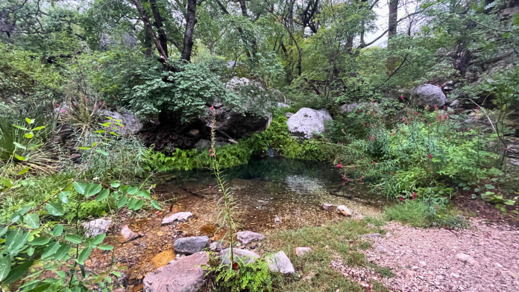 Smith Spring