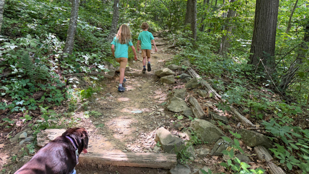 Shenandoah with dogs