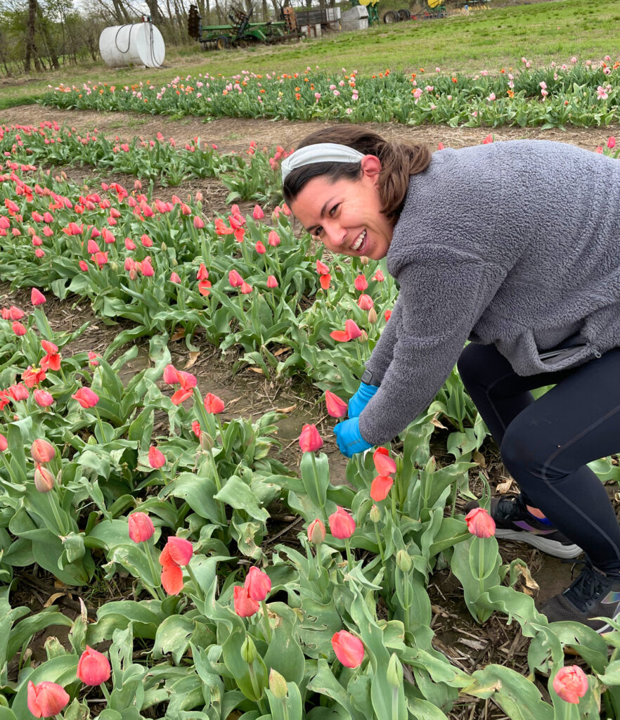 Tulip Farm family fun in Kansas City