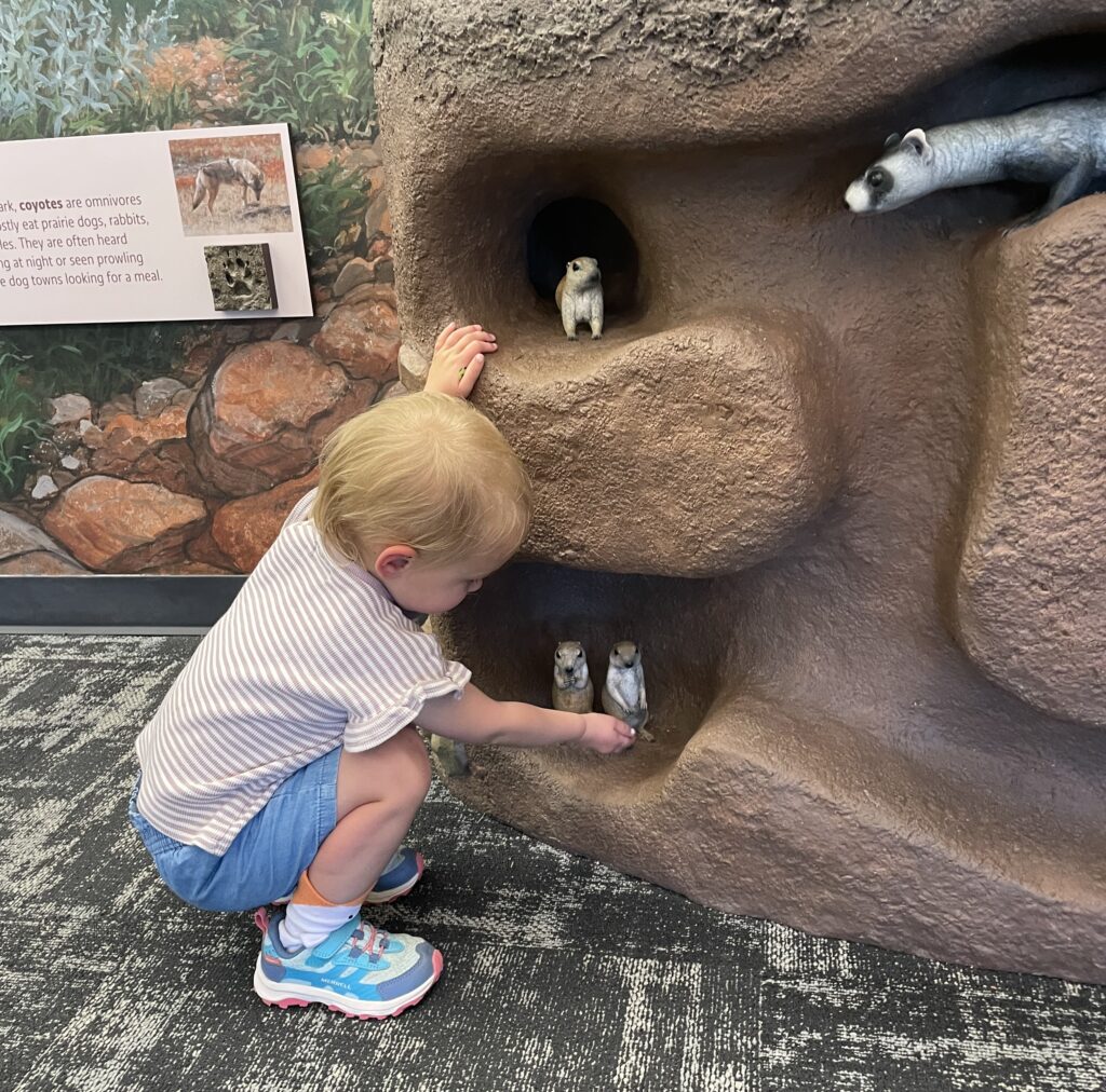 Wind Cave visitor center