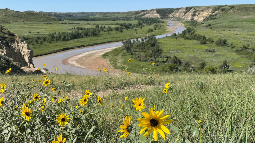 Wind Canyon Trail in Theodore Roosevelt National Park
