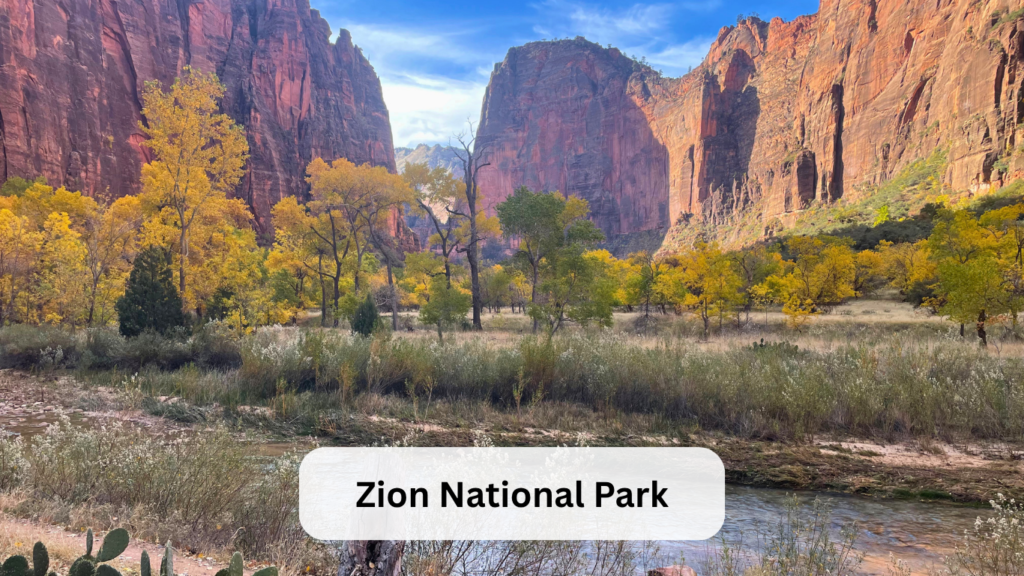 Zion with kids
