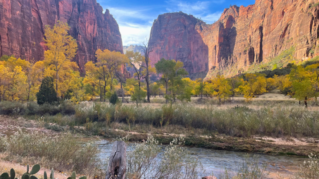 Zion National Park