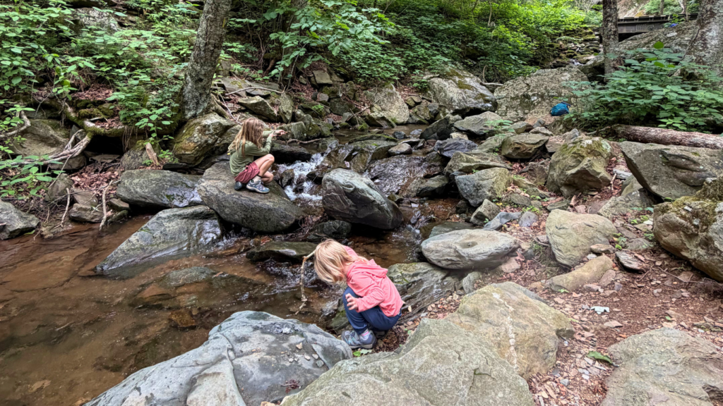Playing in a creek in Shenandoah National Park