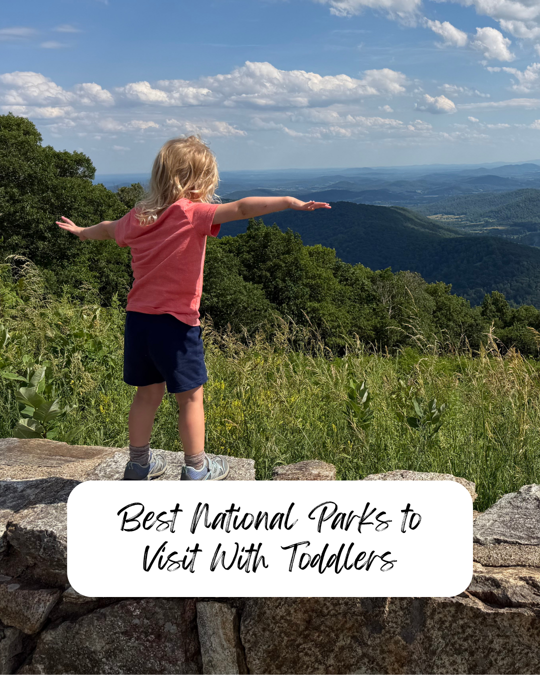 Favorite National Parks for Toddlers & Little Kids