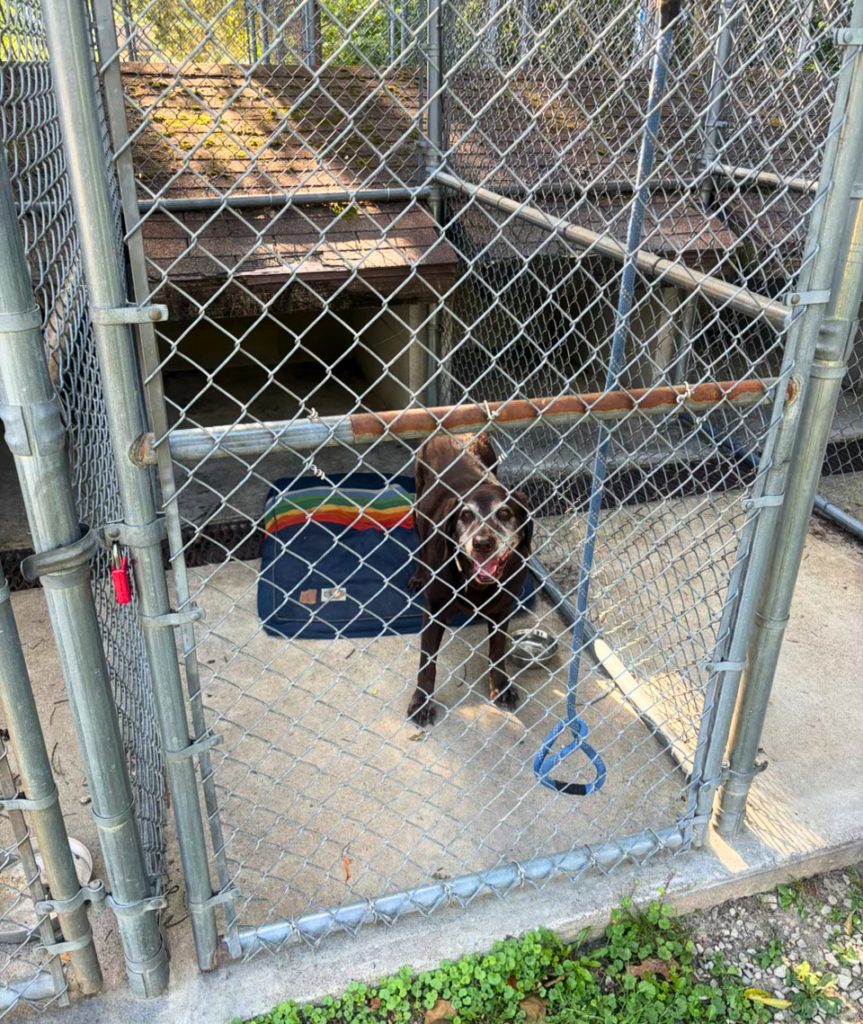 Mammoth Cave Kennels