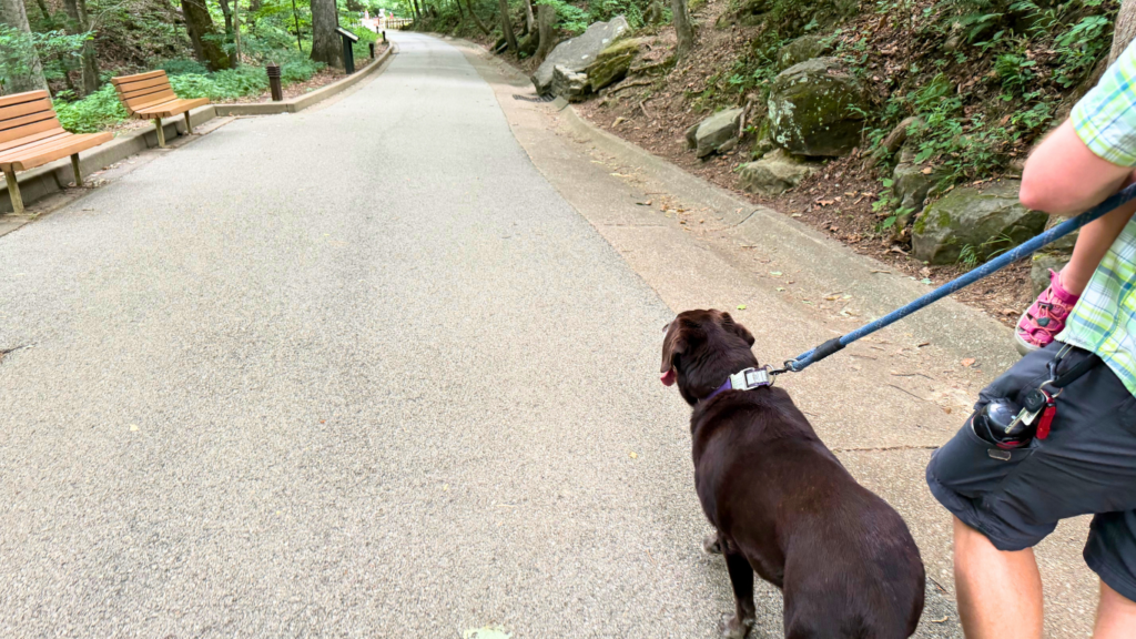 Mammoth Cave with dogs